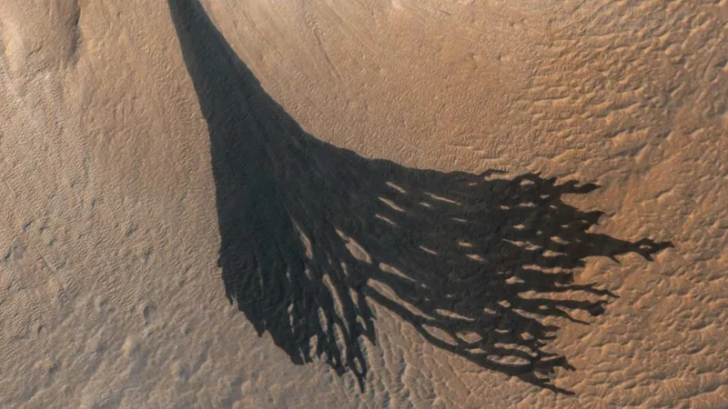 Ученые установили природу странных черных полос на поверхности Марса
