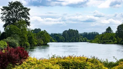 вода, реки, , фото - Новости Zakon.kz от 06.06.2025 10:44