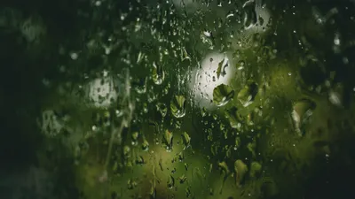 Дожди с грозами обрушатся на Астану, Алматы и Шымкент, фото - Новости Zakon.kz от 07.06.2025 15:36