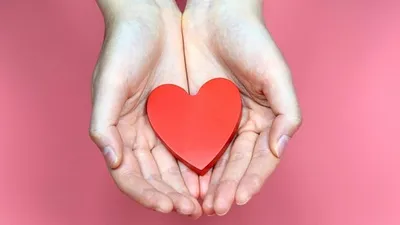 донорство, фото - Новости Zakon.kz от 07.06.2025 06:13