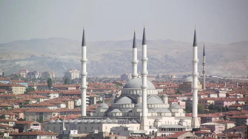 Более 14 тысяч человек в Турции пострадали во время жертвоприношений