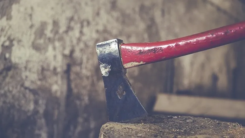 В Азербайджане мужчину подозревают в жестоком нападении с топором на мать и сестру