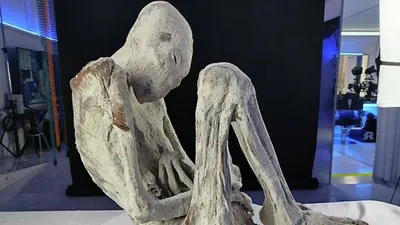 Существо, исследования, обитание, фото - Новости Zakon.kz от 08.06.2025 06:58