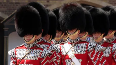Королевская гвардия Великобритании, фото - Новости Zakon.kz от 08.06.2025 07:57