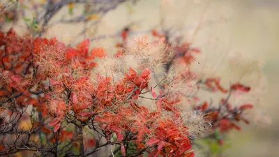 , фото - Новости Zakon.kz от 10.06.2025 18:43