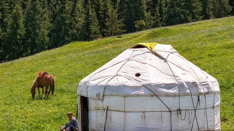 Алматинский фотограф показал, как обворожительно расцветает плато Асы