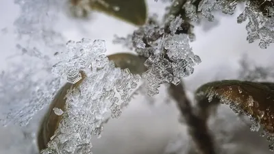 снежный шторм обрушился на восточное побережье ЮАР, фото - Новости Zakon.kz от 12.06.2025 00:17