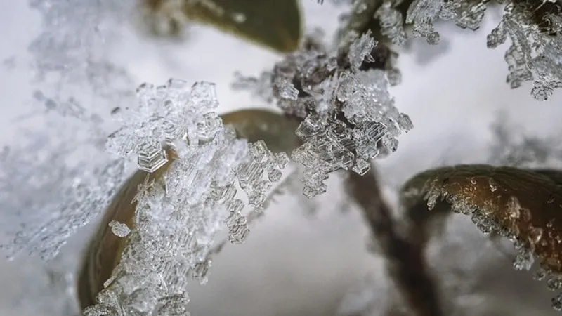 Снегопад, наводнения и десятки погибших: снежный шторм обрушился на ЮАР
