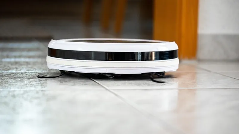 Англичанка осталась без дома из-за робота-пылесоса