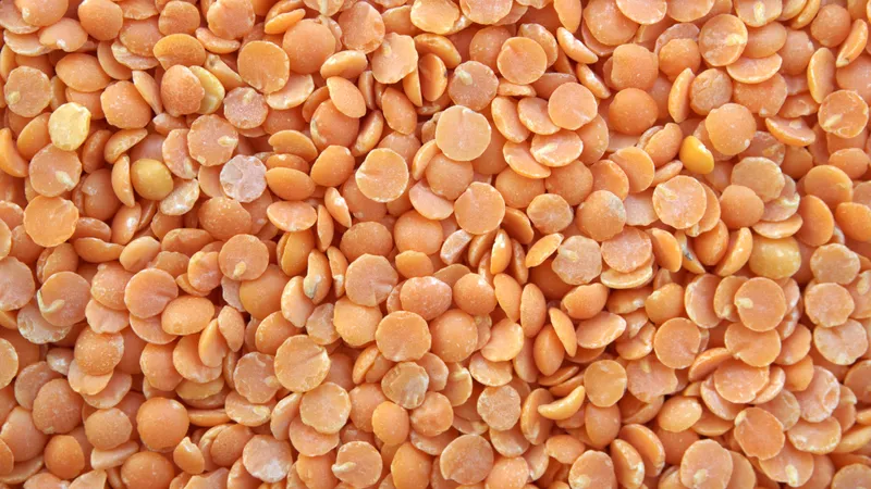 Почему казахстанцы едят фумигированную, а не экологически чистую чечевицу, объяснил эксперт