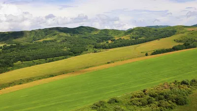 Природа Казахстана, холмы, холмистая местность, туризм, ВКО, Восточно-Казахстанская область, фото - Новости Zakon.kz от 22.01.2026 09:44