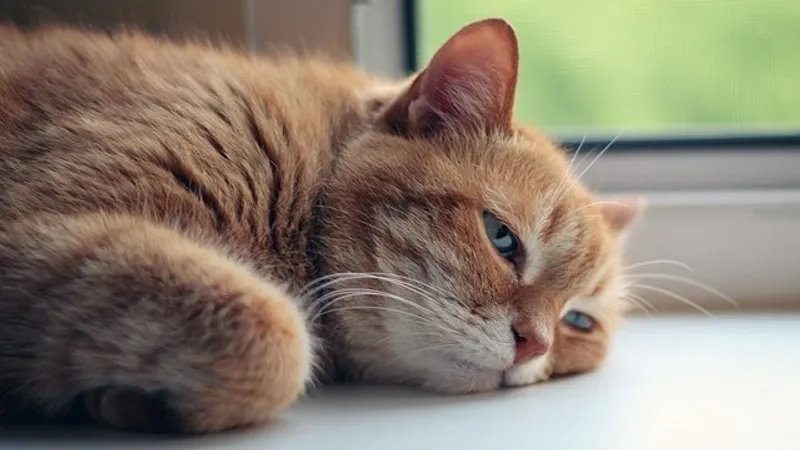 Как охладить комнату без кондиционера