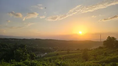 Жара в Алматы, фото - Новости Zakon.kz от 13.06.2025 17:11