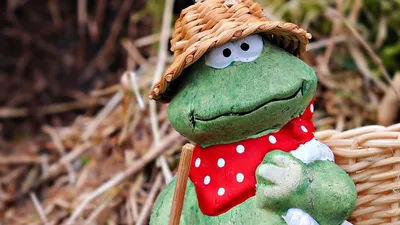 Садовник семьи Макрон уволен за жалобу, фото - Новости Zakon.kz от 14.06.2025 07:45