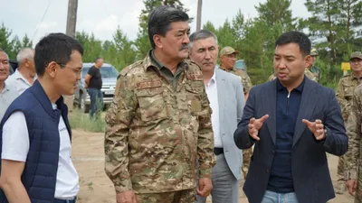 Система раннего обнаружения лесных пожаров внедряется в "Семей орманы", фото - Новости Zakon.kz от 16.06.2025 19:16