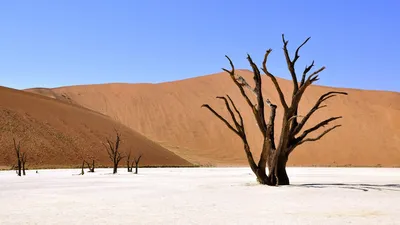 пустыня, Глаз Сахары, засуха, космос, человечество, фото - Новости Zakon.kz от 17.06.2025 12:30