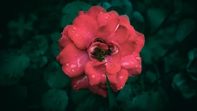 , фото - Новости Zakon.kz от 19.06.2025 17:25