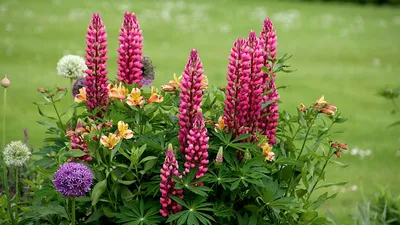 , фото - Новости Zakon.kz от 25.06.2025 16:53