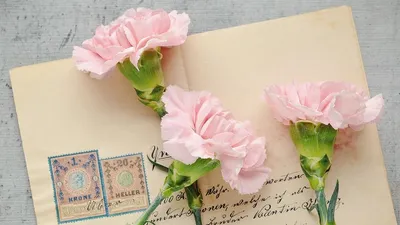 Гороскоп на 18 июня, фото - Новости Zakon.kz от 18.06.2025 07:44