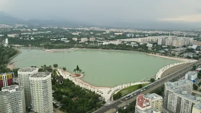 , фото - Новости Zakon.kz от 11.08.2025 15:20