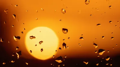 , фото - Новости Zakon.kz от 18.06.2025 17:50