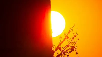 На три области Казахстана обрушится сильная жара: прогноз погоды на 20 июня, фото - Новости Zakon.kz от 19.06.2025 17:25