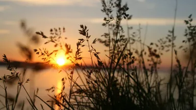 Астана, закаты, видео, Казнет, восхищение, фото - Новости Zakon.kz от 19.06.2025 14:59