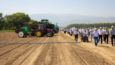 поле, фото - Новости Zakon.kz от 19.06.2025 20:25