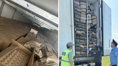 , фото - Новости Zakon.kz от 06.08.2025 12:44