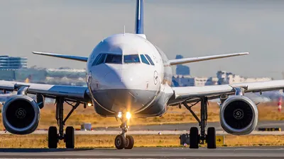Американцам предложили покинуть Израиль, фото - Новости Zakon.kz от 19.06.2025 06:55