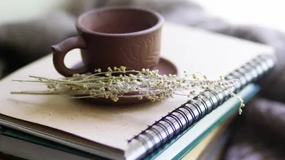 Гороскоп на 20 июня, фото - Новости Zakon.kz от 20.06.2025 08:31