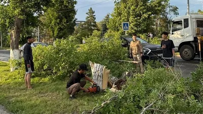 Последствия урагана в Павлодаре: аким подсказал жителям, куда им обращаться, фото - Новости Zakon.kz от 20.06.2025 09:33