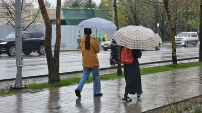 Алматы, штормовое предупреждение, непогода, хаос, дождь, акимат, подготовка, фото - Новости Zakon.kz от 20.06.2025 12:20