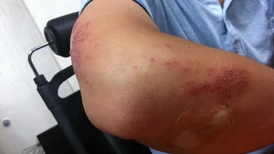 совет, фото - Новости Zakon.kz от 22.06.2025 21:21