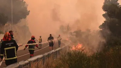 пожар, лесной пожар, фото - Новости Zakon.kz от 22.06.2025 15:38