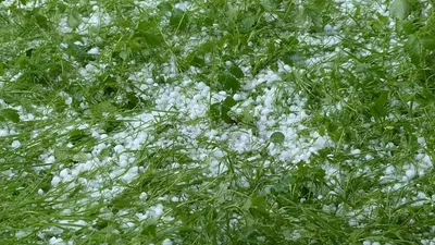 штормовое предупреждение, фото - Новости Zakon.kz от 23.06.2025 19:41