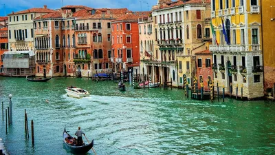 Свадьба Безоса и Санчес в Венеции, фото - Новости Zakon.kz от 24.06.2025 05:00