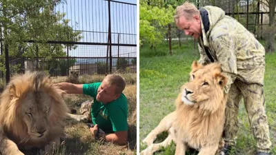 подробности нападения на Олега Зубкова, фото - Новости Zakon.kz от 23.06.2025 22:28