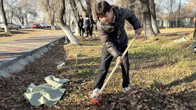 Уборка территории, фото - Новости Zakon.kz от 25.06.2025 09:22