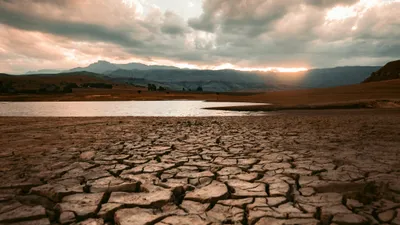 Засуха грозит 12 регионам Казахстана в июле, фото - Новости Zakon.kz от 25.06.2025 11:47