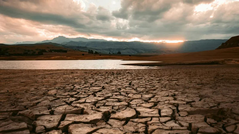 Засуха грозит 12 регионам Казахстана в июле