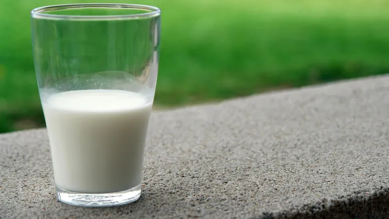 Почему 26 июня запрещено пить молоко