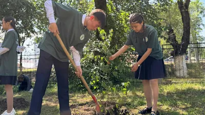 Посадка деревьев, фото - Новости Zakon.kz от 25.06.2025 09:44
