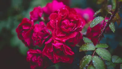 , фото - Новости Zakon.kz от 25.06.2025 17:45