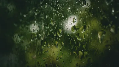 , фото - Новости Zakon.kz от 25.06.2025 16:28