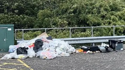 Военная база Великобритании наводнена крысами, фото - Новости Zakon.kz от 26.06.2025 08:52