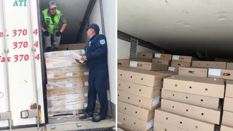 В Казахстан не пустили пять тонн свинины из России