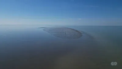 новый остров в Каспийском море, фото - Новости Zakon.kz от 26.06.2025 12:30