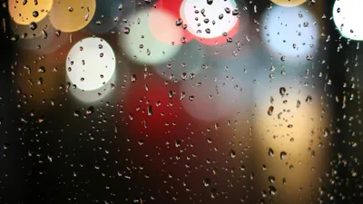 , фото - Новости Zakon.kz от 27.06.2025 12:11