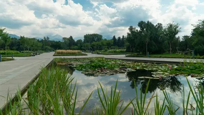 Ботанический сад в Алматы, Алматинский ботанический сад, Алматы, город Алматы, ботсад, фото - Новости Zakon.kz от 31.03.2026 09:48